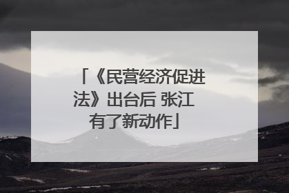 《民营经济促进法》出台后 张江有了新动作
