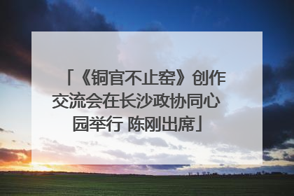 《铜官不止窑》创作交流会在长沙政协同心园举行 陈刚出席