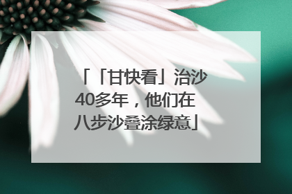「甘快看」治沙40多年，他们在八步沙叠涂绿意