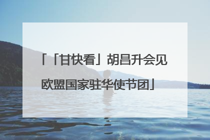 「甘快看」胡昌升会见欧盟国家驻华使节团