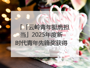 「云岭青年挺膺担当」2025年度新时代青年先锋奖获得者王敏奇——澜沧江上好渔人