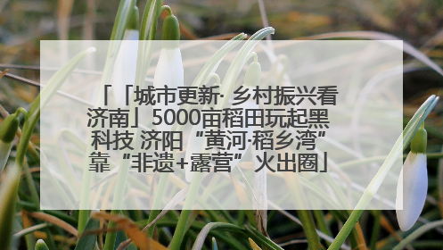 「城市更新· 乡村振兴看济南」5000亩稻田玩起黑科技 济阳“黄河·稻乡湾”靠“非遗+露营”火出圈