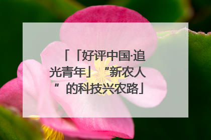 「好评中国·追光青年」“新农人”的科技兴农路