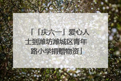 「庆六一」爱心人士到潍坊潍城区青年路小学捐赠物资