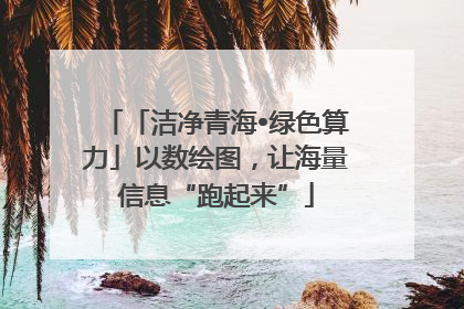 「洁净青海•绿色算力」以数绘图，让海量信息“跑起来”