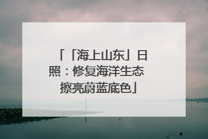 「海上山东」日照：修复海洋生态 擦亮蔚蓝底色