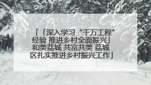 「深入学习“千万工程”经验 推进乡村全面振兴」和美荔城 共富共美 荔城区扎实推进乡村振兴工作