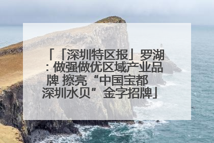 「深圳特区报」罗湖：做强做优区域产业品牌 擦亮“中国宝都 深圳水贝”金字招牌