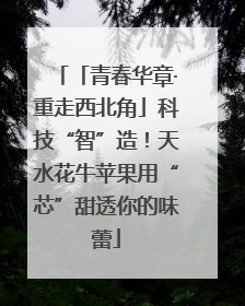 「青春华章·重走西北角」科技“智”造！天水花牛苹果用“芯”甜透你的味蕾