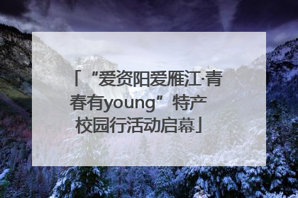 “爱资阳爱雁江·青春有young”特产校园行活动启幕