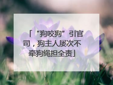 “狗咬狗”引官司，狗主人屡次不牵狗绳担全责