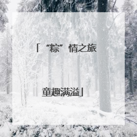 “粽”情之旅 童趣满溢