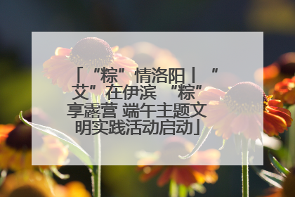 “粽”情洛阳丨“艾”在伊滨 “粽”享露营 端午主题文明实践活动启动