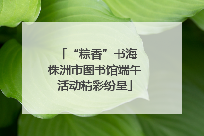 “粽香”书海 株洲市图书馆端午活动精彩纷呈