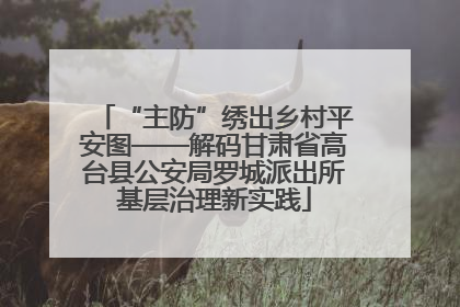 “主防”绣出乡村平安图——解码甘肃省高台县公安局罗城派出所基层治理新实践