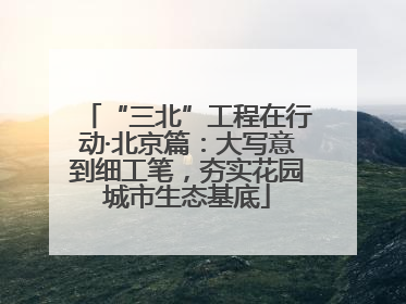 “三北”工程在行动·北京篇：大写意到细工笔，夯实花园城市生态基底