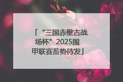 “三国赤壁古战场杯”2025围甲联赛蓄势待发