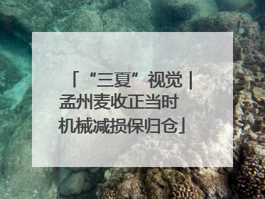 “三夏”视觉｜孟州麦收正当时 机械减损保归仓