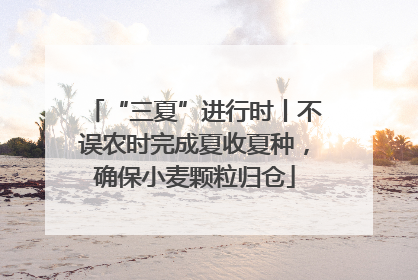 “三夏”进行时丨不误农时完成夏收夏种，确保小麦颗粒归仓