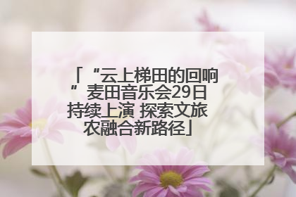 “云上梯田的回响”麦田音乐会29日持续上演 探索文旅农融合新路径