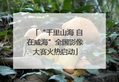 “千里山海 自在威海”全国影像大赛火热启动
