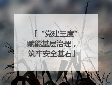 “党建三度”赋能基层治理，筑牢安全基石