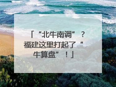 “北牛南调”？福建这里打起了“牛算盘”！