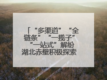 “多渠道”“全链条”“一揽子”“一站式”解纷 湖北赤壁积极探索综治中心规范化建设新路子