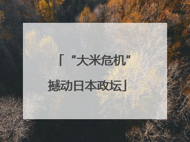 “大米危机”撼动日本政坛