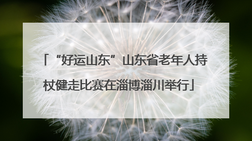 “好运山东”山东省老年人持杖健走比赛在淄博淄川举行