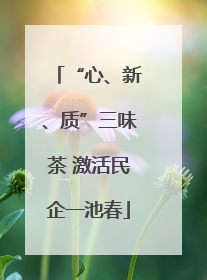 “心、新、质”三味茶 激活民企一池春