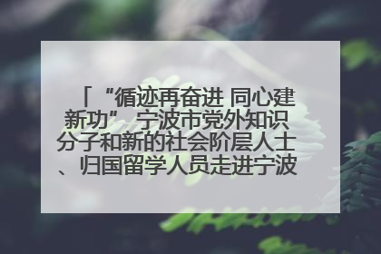 “循迹再奋进 同心建新功” 宁波市党外知识分子和新的社会阶层人士、归国留学人员走进宁波舟山港穿山港区