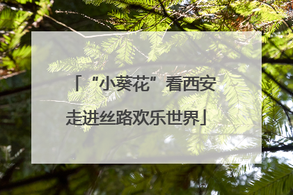 “小葵花”看西安走进丝路欢乐世界