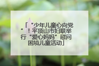 “少年儿童心向党”！平顶山市妇联举行“爱心妈妈”慰问困境儿童活动