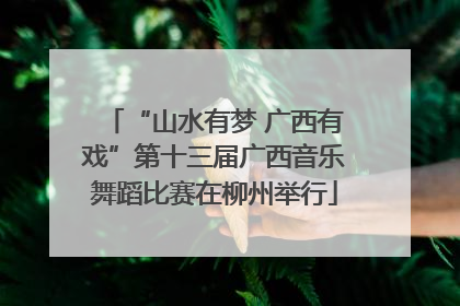 “山水有梦 广西有戏”第十三届广西音乐舞蹈比赛在柳州举行
