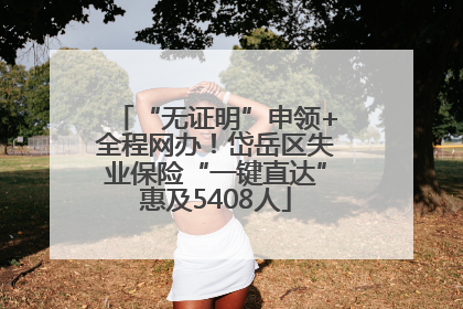“无证明”申领+全程网办！岱岳区失业保险“一键直达”惠及5408人