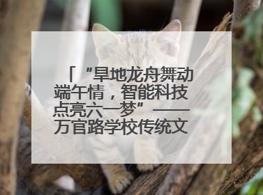 “旱地龙舟舞动端午情，智能科技点亮六一梦”——万官路学校传统文化与科技创新交融的精彩盛宴