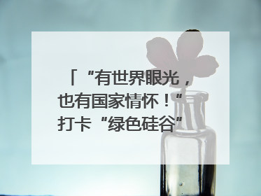 “有世界眼光，也有国家情怀！”打卡“绿色硅谷”，博主新解乐山｜网络名人四川行