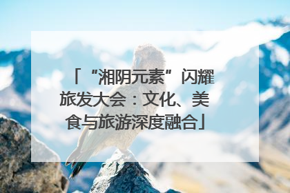 “湘阴元素”闪耀旅发大会：文化、美食与旅游深度融合