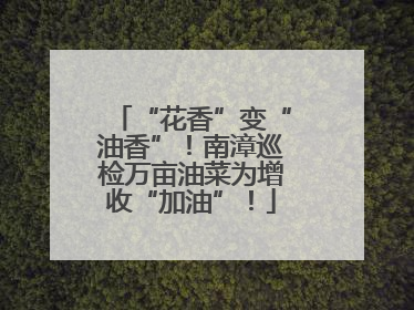 “花香”变“油香”！南漳巡检万亩油菜为增收“加油”！