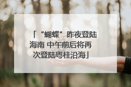 “蝴蝶”昨夜登陆海南 中午前后将再次登陆粤桂沿海