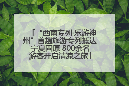 “西南专列·乐游神州”首趟旅游专列抵达宁夏固原 800余名游客开启清凉之旅