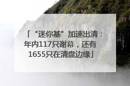 “迷你基”加速出清：年内117只谢幕，还有1655只在清盘边缘