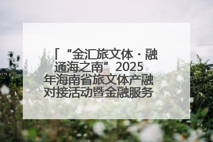 “金汇旅文体・融通海之南”2025年海南省旅文体产融对接活动暨金融服务中心成立仪式举行
