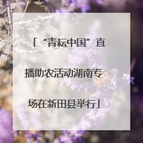 “青耘中国”直播助农活动湖南专场在新田县举行