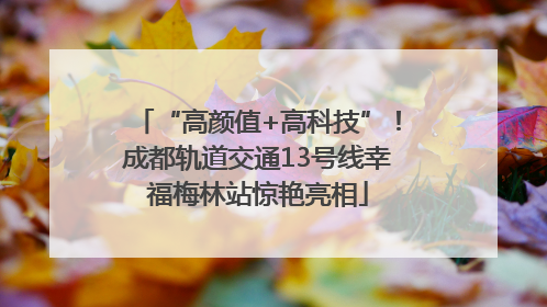 “高颜值+高科技”！成都轨道交通13号线幸福梅林站惊艳亮相