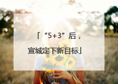 “5+3”后，宣城定下新目标