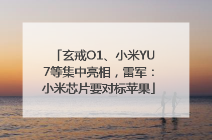 玄戒O1、小米YU7等集中亮相，雷军：小米芯片要对标苹果