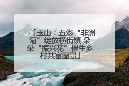 玉山：五彩“非洲菊”绽放横街镇 朵朵“振兴花”催生乡村共富图景