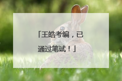王皓考编，已通过笔试！